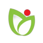 窝窝午夜理论片影院